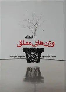 دانلود pdf کتاب وزن های معلق مسعود سکینه پور