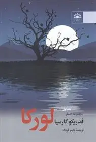 دانلود pdf کتاب مجموعه اشعار - جلد اول فدریکو گارسیا لورکا