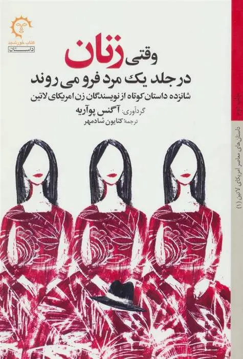 دانلود pdf کتاب وقتی زنان در جلد یک مرد فرو می روند آنیس پواریه