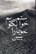 دانلود pdf کتاب خواستم بگویم خون را ببین رویا شکیبایی