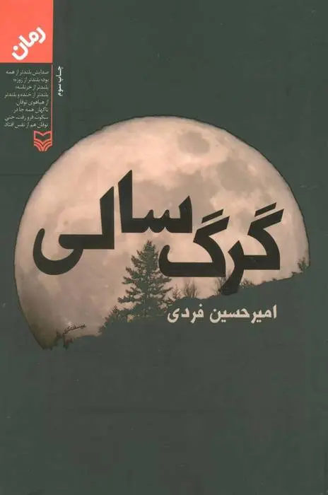 دانلود pdf کتاب گرگ سالی امیرحسین فردی