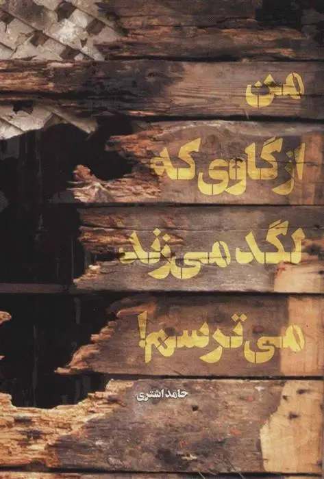 دانلود pdf کتاب من از گاوی که لگد می زند می ترسم! حامد اشتری