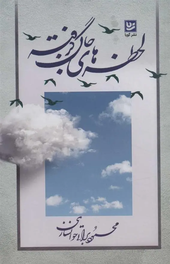 دانلود pdf کتاب لحظه های جان گرفته محمود براتی خوانساری