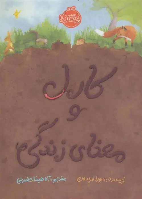 دانلود pdf کتاب کارل و معنای زندگی دبورا فردمن