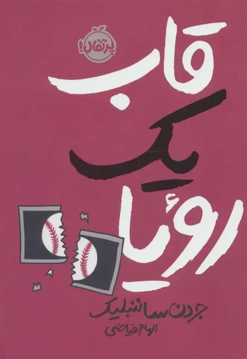 دانلود pdf کتاب قاب یک رویا جردن ساننبلیک