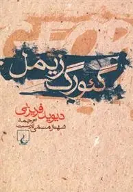 دانلود pdf کتاب گئورگ زیمل دیوید فریزبی