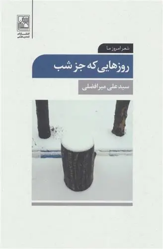 دانلود pdf کتاب روزهایی که جز شب سید علی میرافضلی