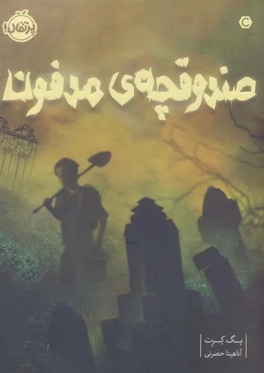 دانلود pdf کتاب صندوقچه مدفون پگ کرت