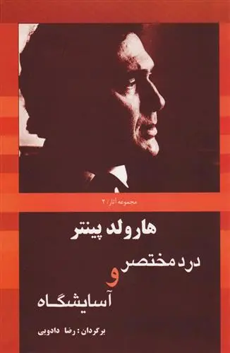 خرید و قیمت کتاب درد مختصر و آسایشگاه اثر هارولد پینتر