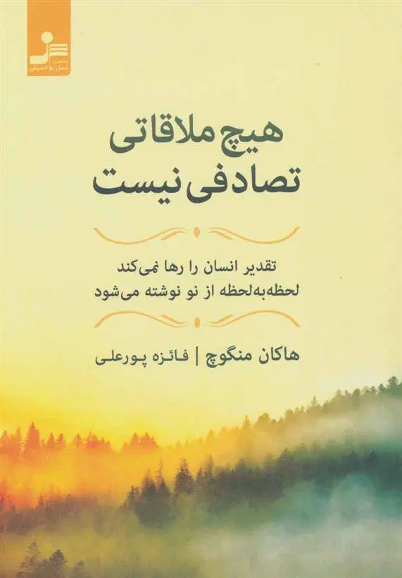 دانلود pdf کتاب هیچ ملاقاتی تصادفی نیست هاکان منگوچ