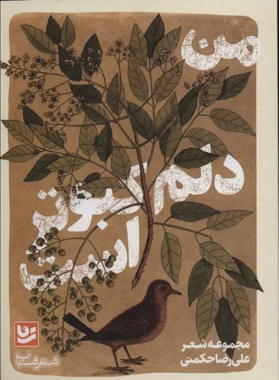 دانلود pdf کتاب من دلم کبوتر است علیرضا حکمتی