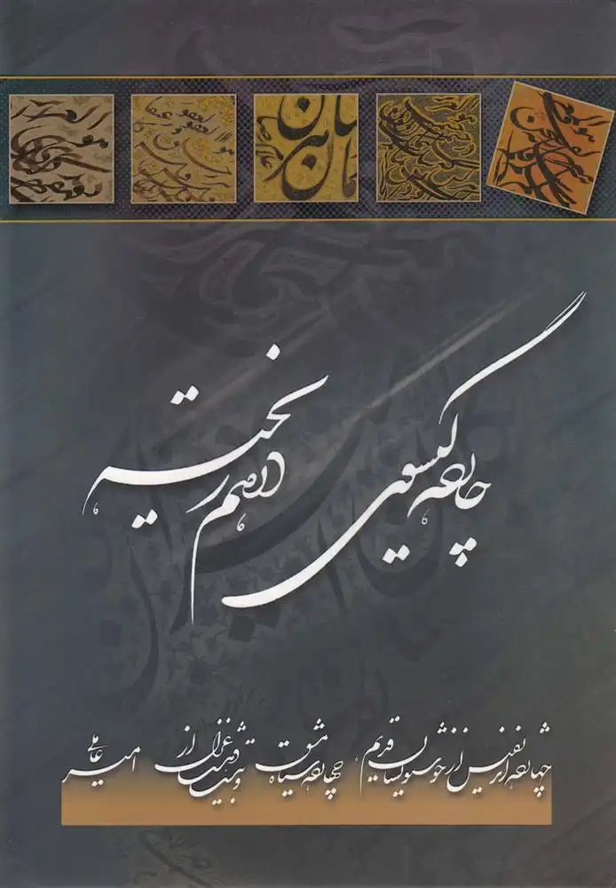 دانلود pdf کتاب چارده گیسوی در هم ریخته امیر عاملی