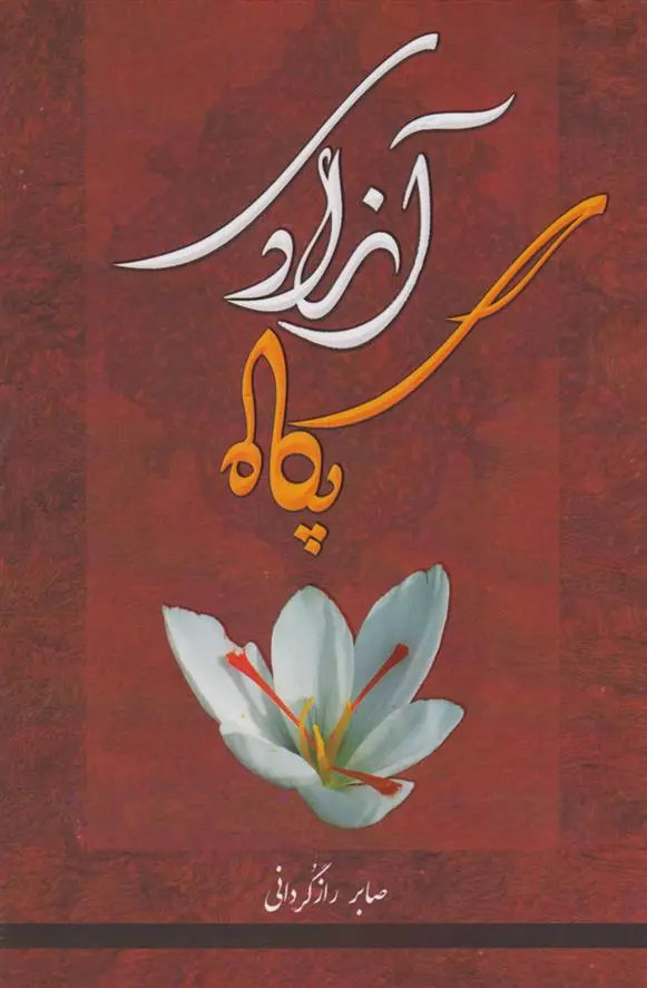 دانلود pdf کتاب پگاه آزادی (شومیز) صابر رازگردانی