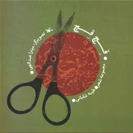 دانلود pdf کتاب قچ قچ طیبه شامانی