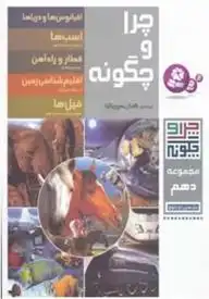 دانلود pdf کتاب چرا و چگونه (مجموعه دهم) راینر کرومنرل