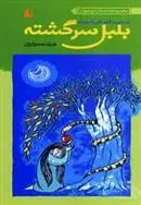 دانلود pdf کتاب بلبل سرگشته فرشته مولوی