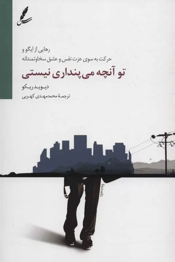 دانلود pdf کتاب تو آنچه می پنداری نیستی دیوید ریکو