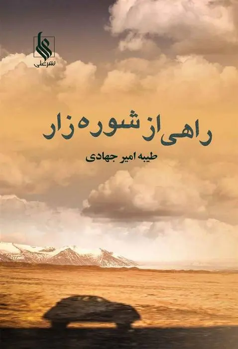 دانلود pdf کتاب راهی از شوره زار طیبه امیر جهادی