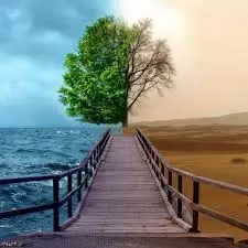 دانلود pdf کتاب حقایق غیر قابل باور درباره رویاهای زندگی ! رایگان