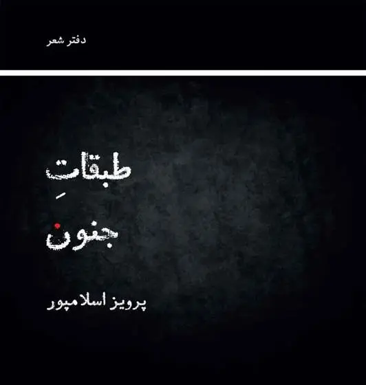 دانلود pdf کتاب طبقات جنون پرویز اسلام پور