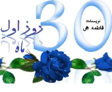 دانلود pdf کتاب  ۳۰ روز اول ماه  فاطمه . ش رایگان