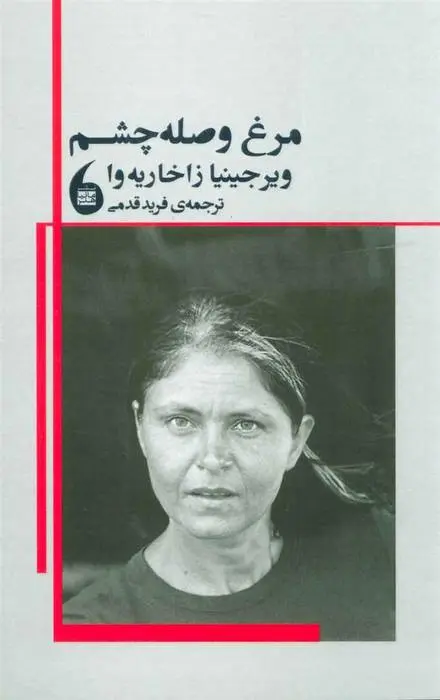 دانلود pdf کتاب مرغ وصله چشم ویرجینیا زاخاریه وا