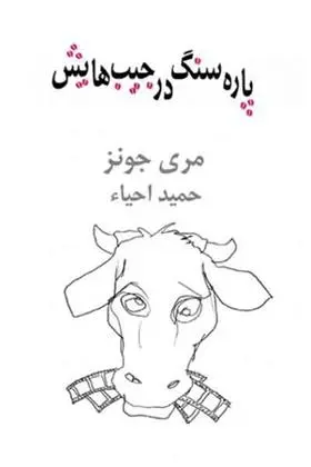 دانلود pdf کتاب پاره سنگ در جیب هایش مری جونز