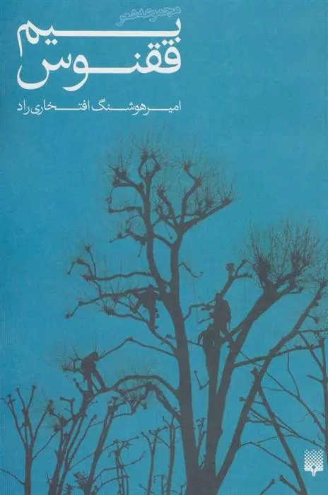 دانلود pdf کتاب بیم ققنوس امیر هوشنگ افتخاری راد