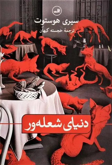 دانلود pdf کتاب دنیای شعله ور سیری هاسوت