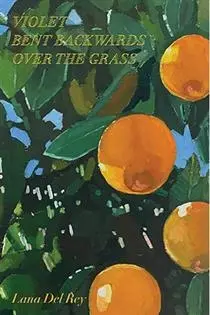 دانلود pdf کتاب Violet Bent Backwards Over the Grass لانا دل ری
