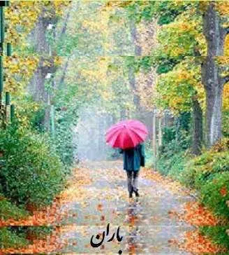 دانلود pdf کتاب  باران  ویلیام سامرست موآم  -  کاوه نگارش رایگان