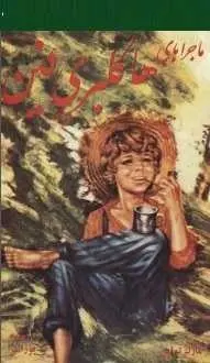 دانلود pdf کتاب  ماجراهای هاکلبری فین  مارک تواین  -  شهرام پورانفر رایگان