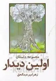 دانلود pdf کتاب اولین دیدار زهرا میرعبدالحق
