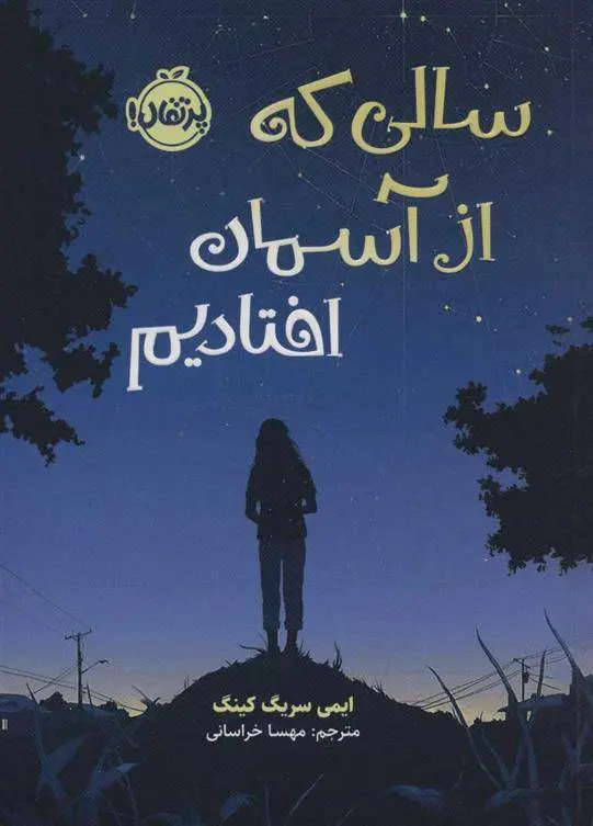 دانلود pdf کتاب سالی که از آسمان افتادیم ایمی ساریگ کینگ