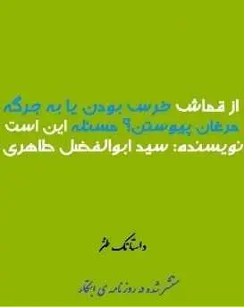 دانلود pdf کتاب  از قماش خرس بودن یا به جرگه مرغان پیوستن  سید ابوالفضل طاهری رایگان