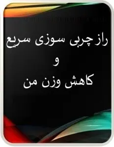 دانلود pdf کتاب  راز چربی سوزی سریع  امید قشقایی رایگان