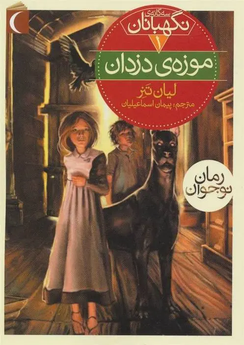 دانلود pdf کتاب موزه ی دزدان لیان تنر