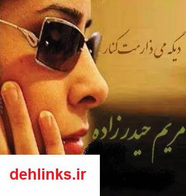 دانلود pdf کتاب دیگه می ذارمت کنار مریم حیدرزاده