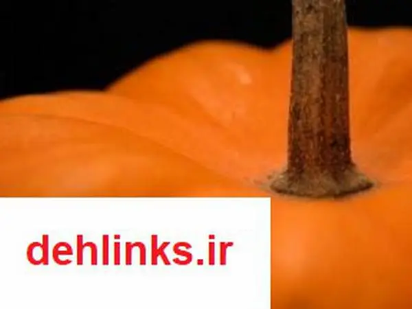 دانلود pdf کتاب آموزش آشپزی - جلد اول امیر علی صحرایی