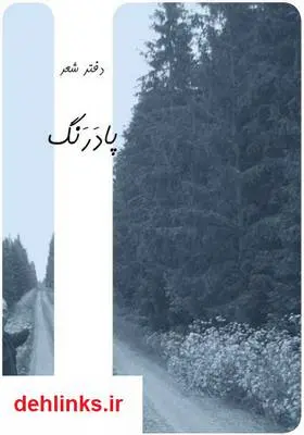 دانلود pdf کتاب پادرنگ ناصر نامدار