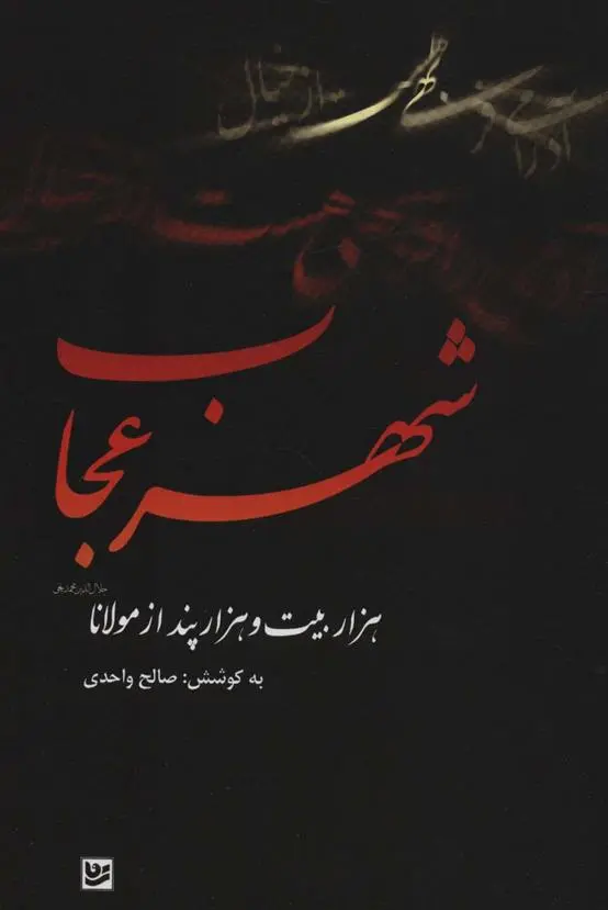 دانلود pdf کتاب شهر عجاب جلال الدین محمد بلخی(مولانا)