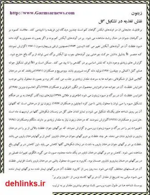 دانلود pdf کتاب زیتون