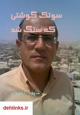دانلود pdf کتاب سوتک گوشتی که سنگ شد شاپور احمدی