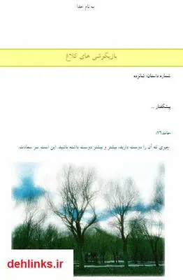 دانلود pdf کتاب بازیگوشی های کلاغ حامد احمدی