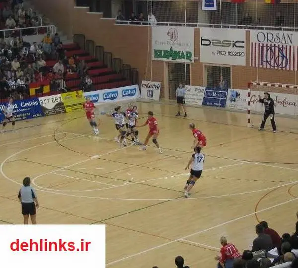 دانلود pdf کتاب تاریخچه ورزش هندبال