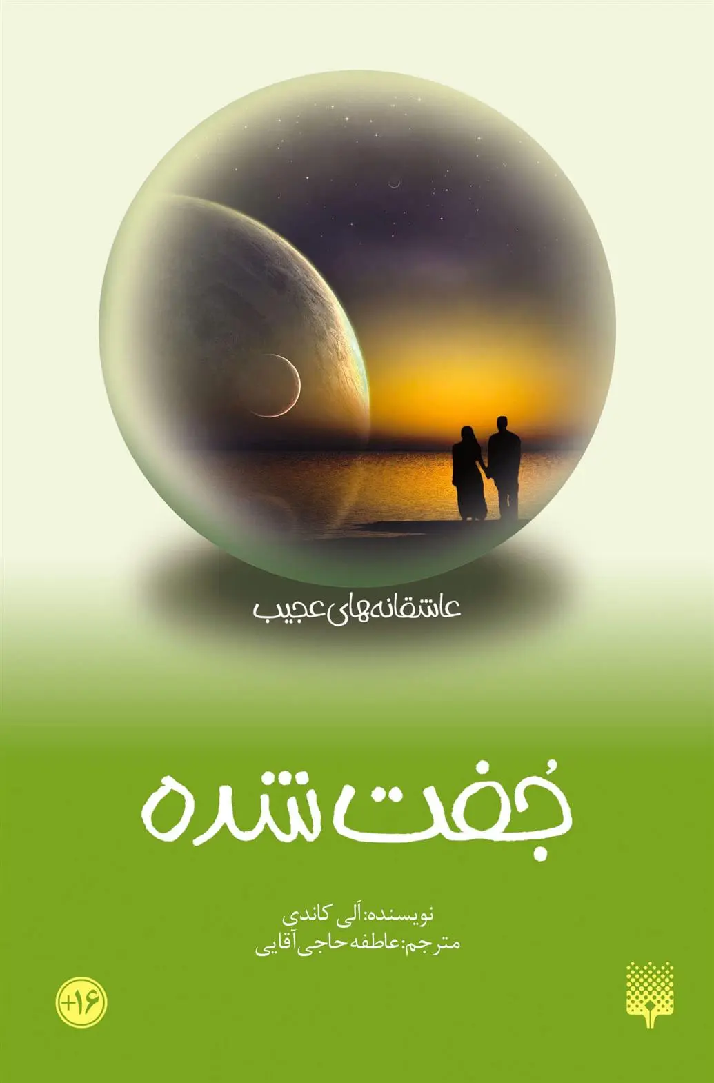 دانلود pdf کتاب جفت شده آلیسون کاندی