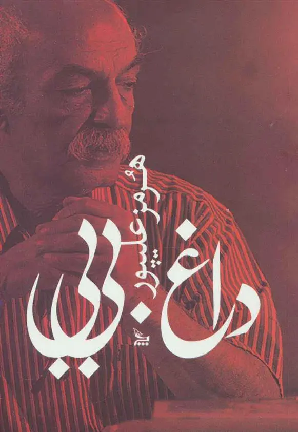 دانلود pdf کتاب داغ بی بی هرمز علی پور