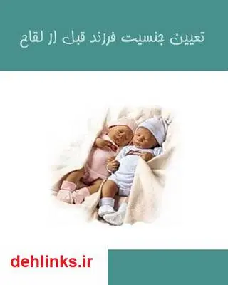 دانلود pdf کتاب آموزش تعیین جنسیت فرزند سید جوادمرتضایی ارزیل