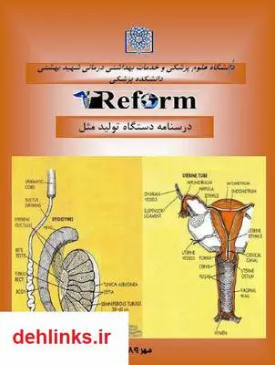 دانلود pdf کتاب درسنامه تولید مثل