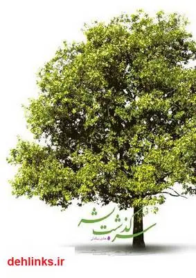 دانلود pdf کتاب سرگذشت بشر هادی بیگدلی